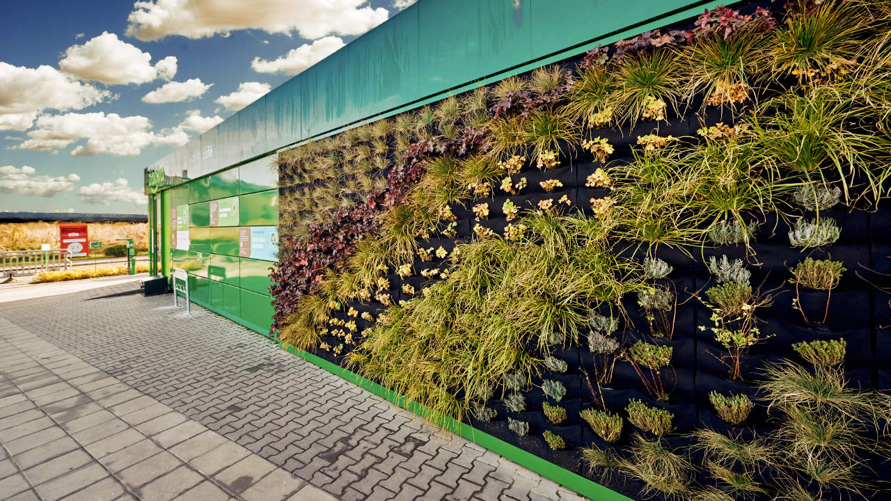 Handelspaviljong, Żabka – grön av naturen 72 m² - vy 1